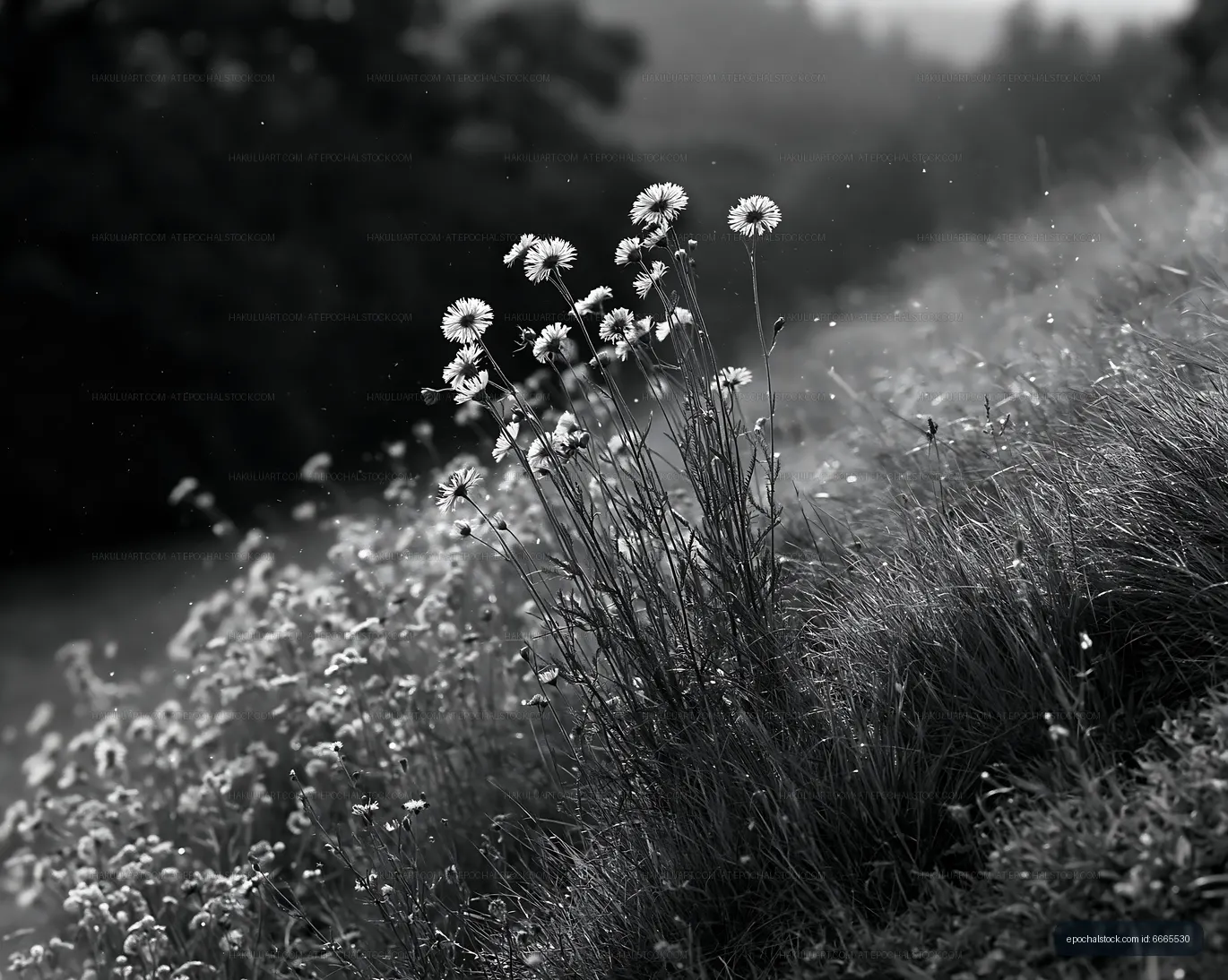 Wildflowers growing on a hillside during the day