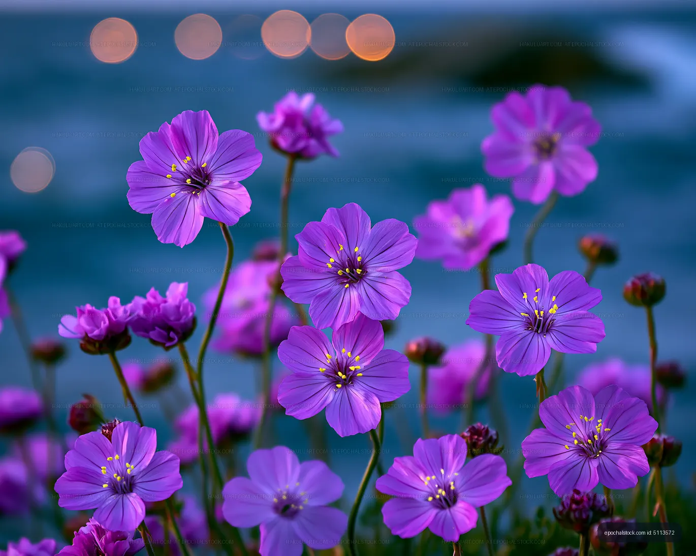 Purple flowers bloom by the shore at dusk