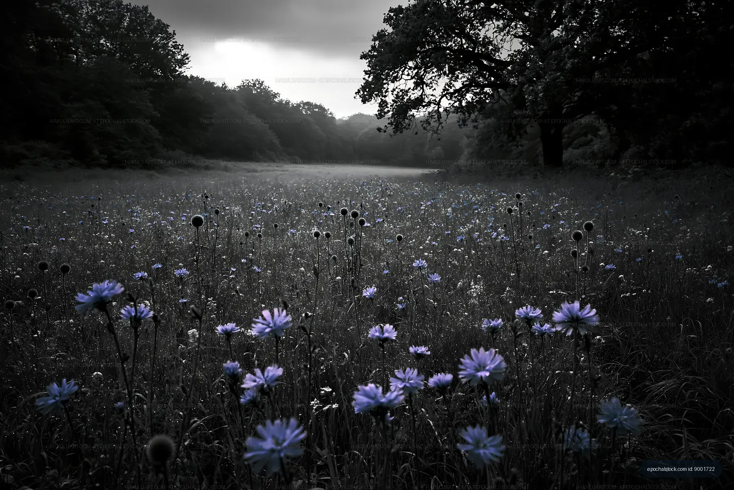 Field of flowers under a cloudy sky in black and white