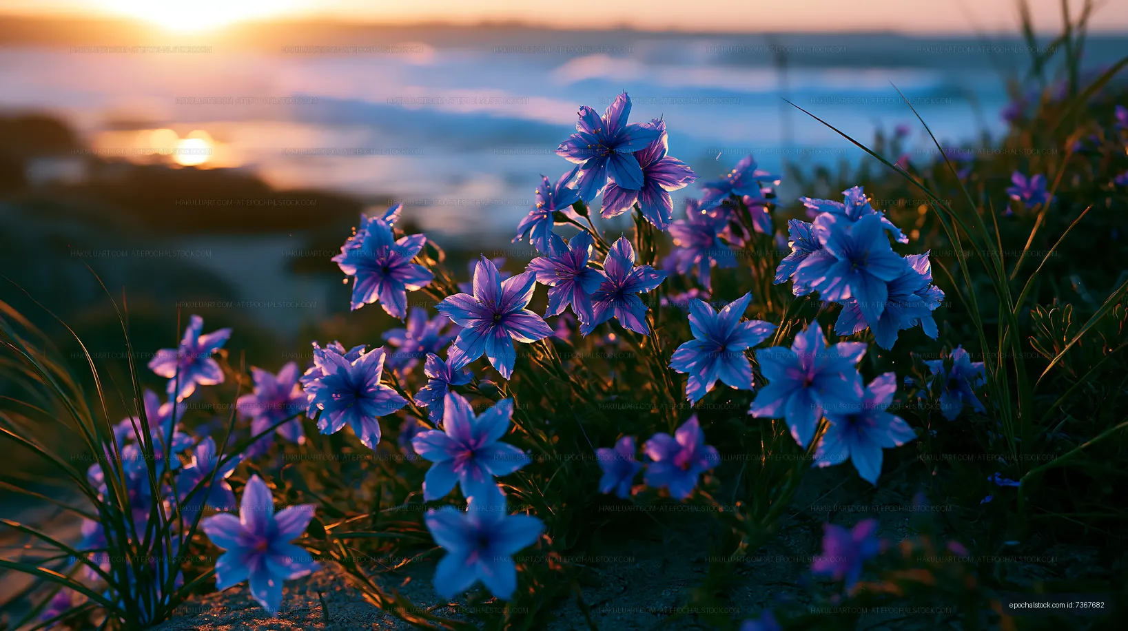 Flowers blooming on beach during sunset in coastal area