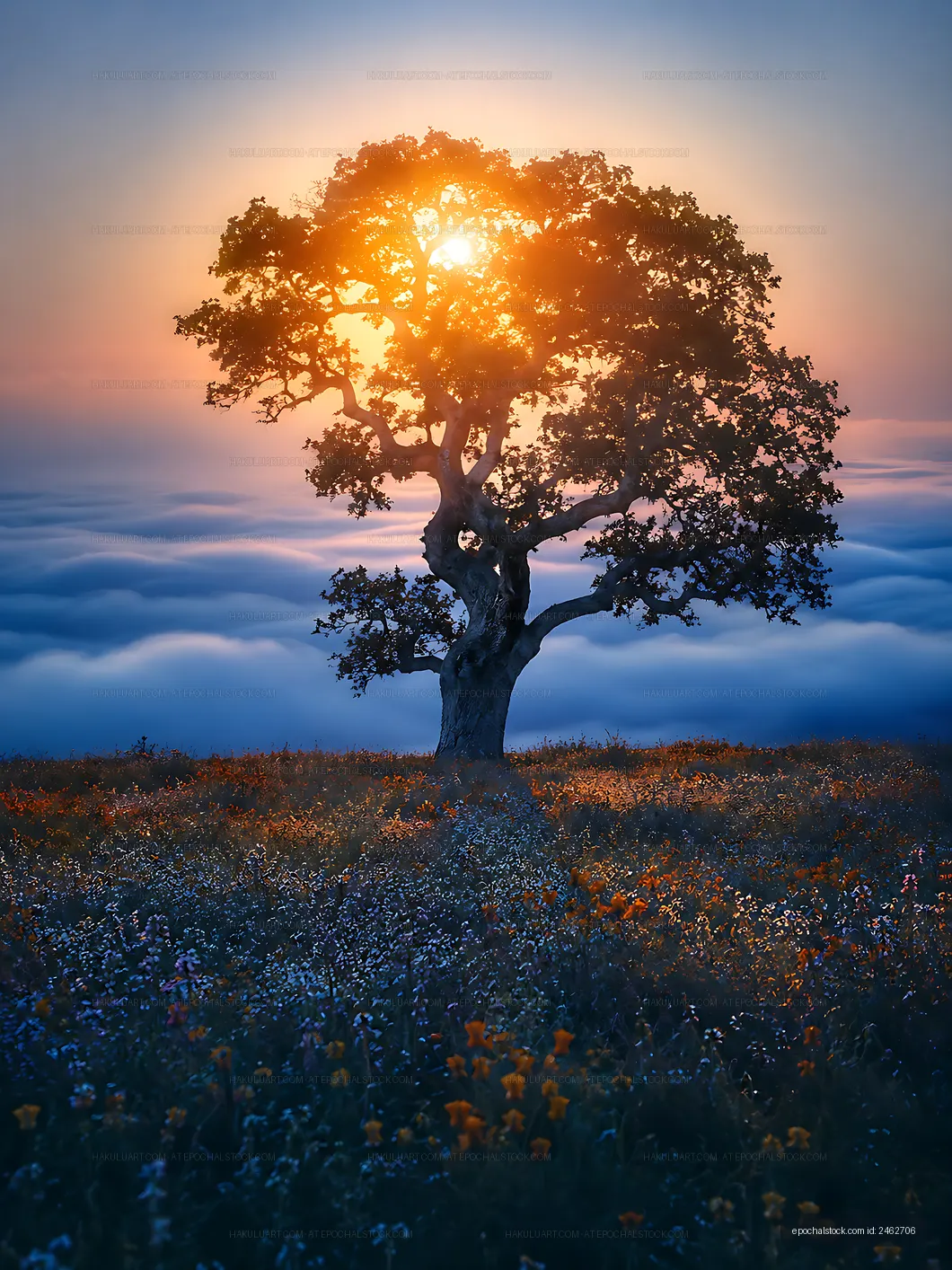 Sunset behind a tree above the clouds