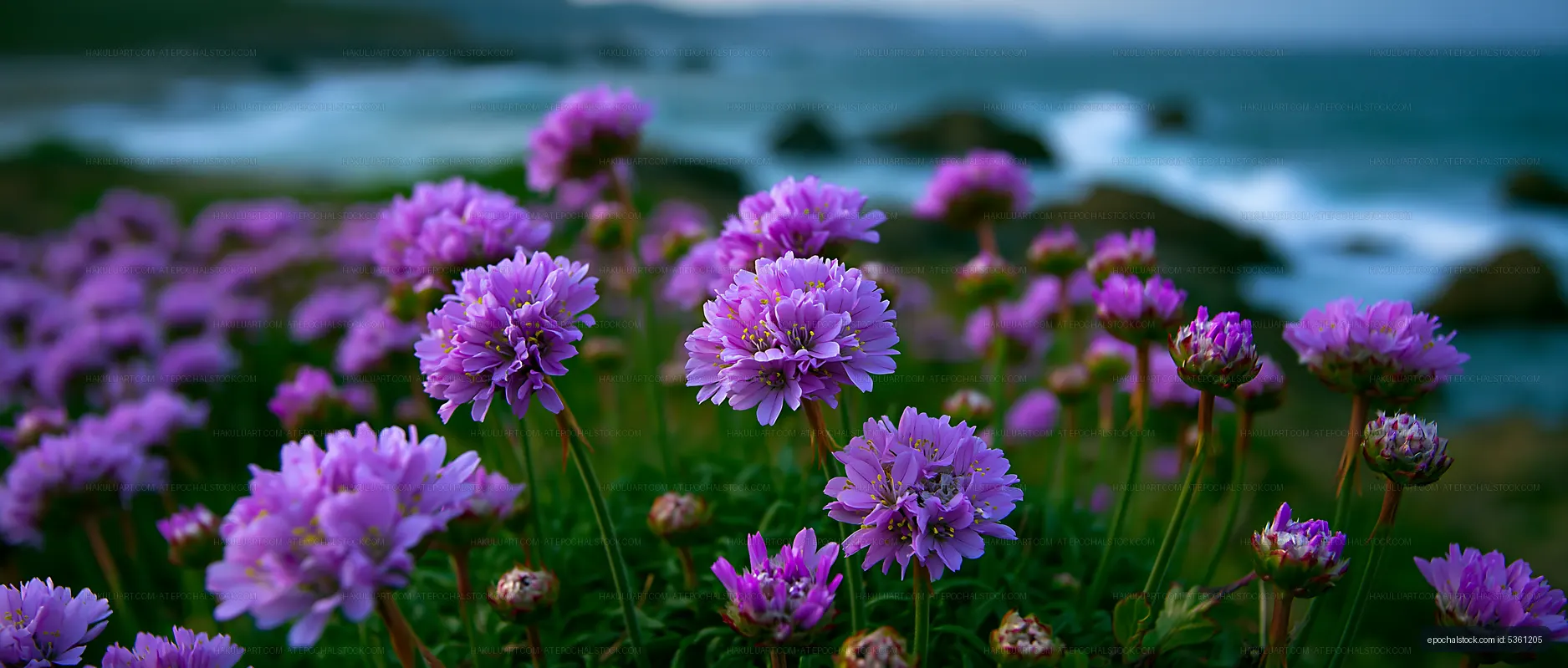 Purple flowers bloom near the ocean at dusk