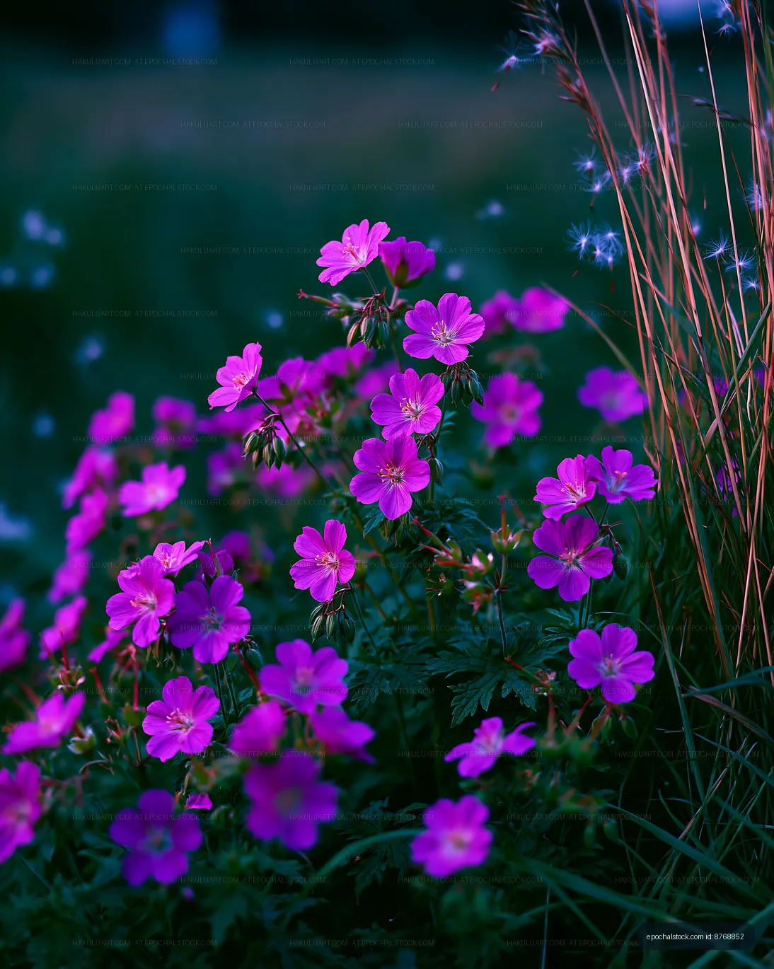 Vibrant purple flowers growing in a field during twilight