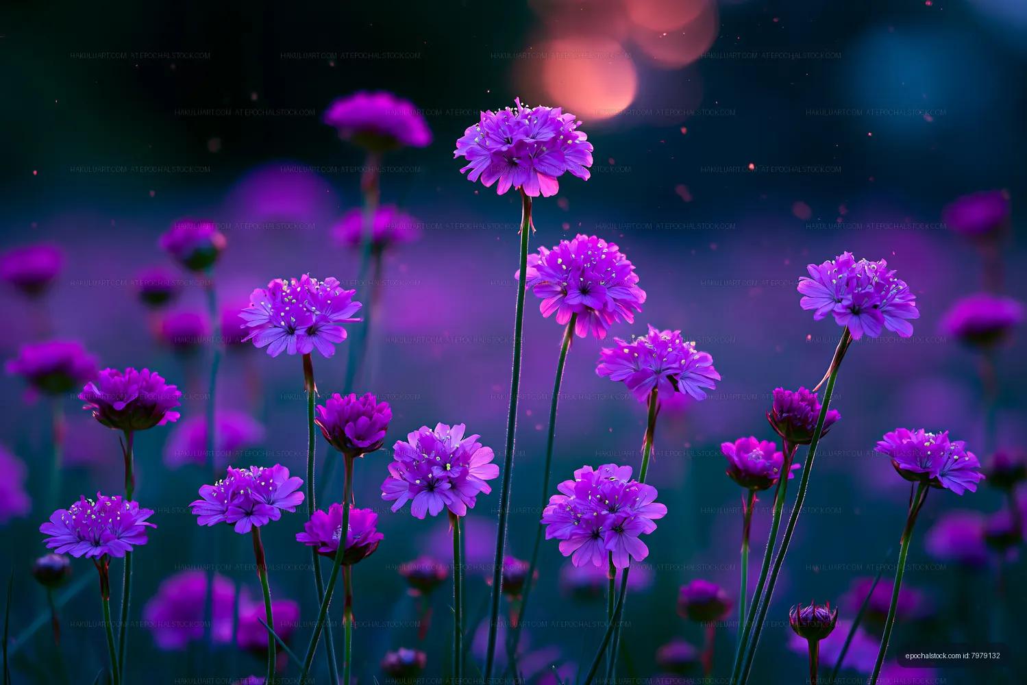 Purple flowers in a field at sunset