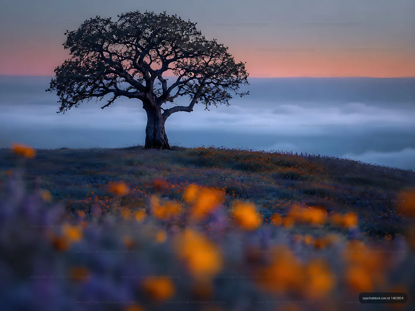 Tree on a hill with flowers during sunset