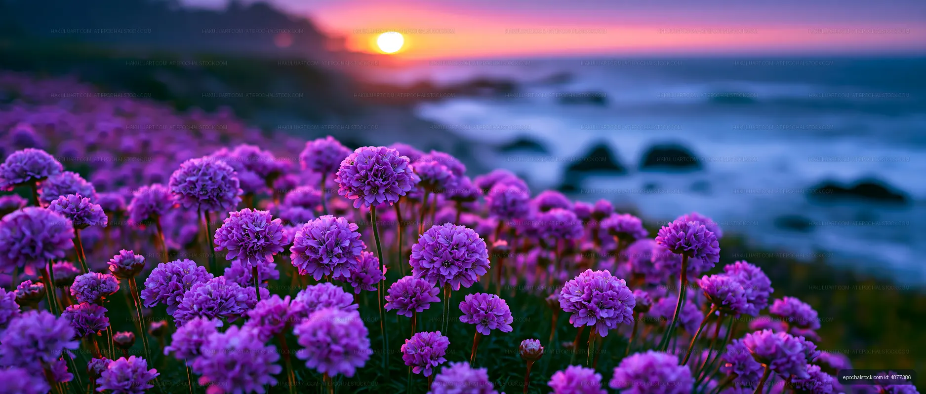 Vibrant flowers at sunset by the ocean shore