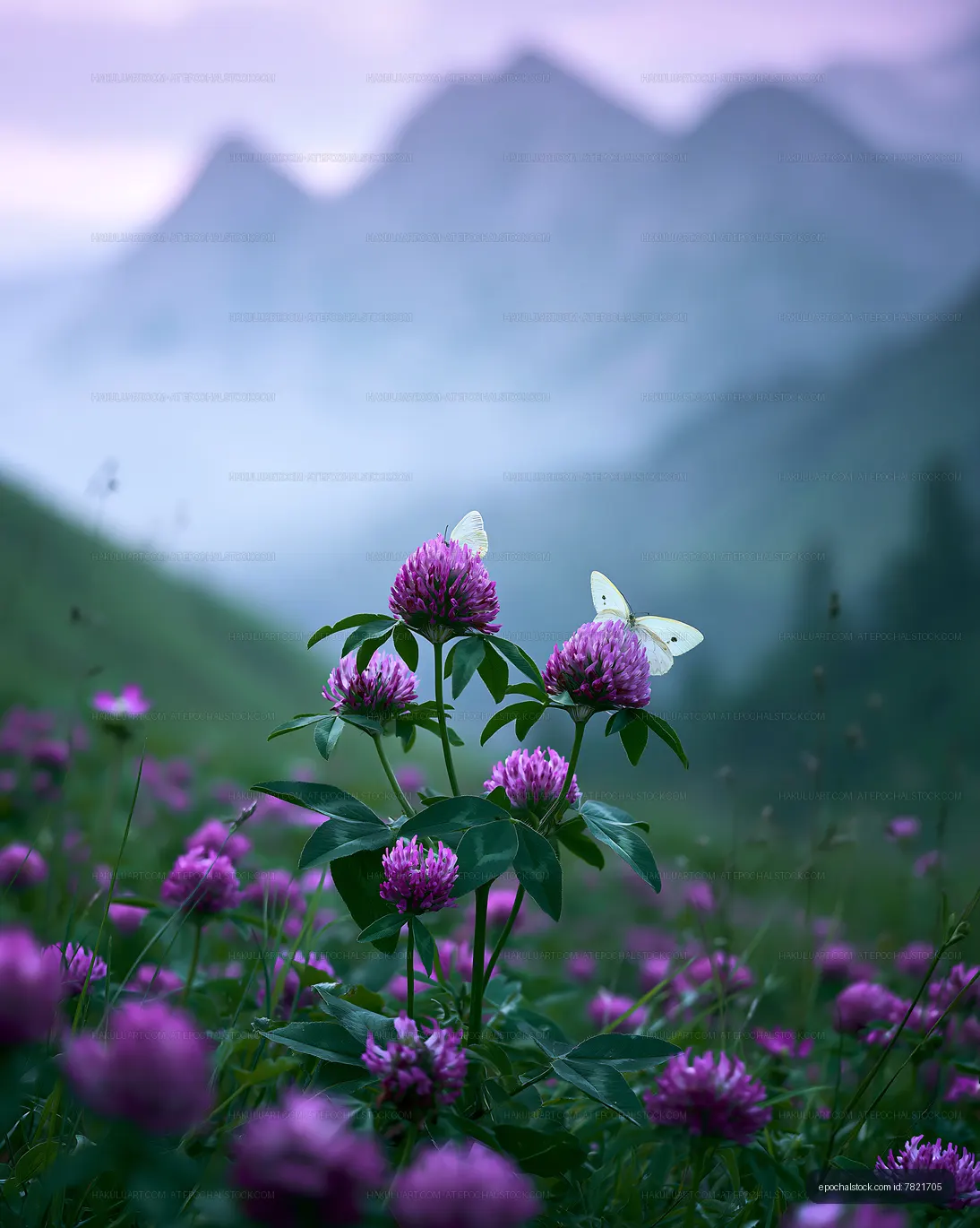 Butterflies on purple flowers in mountain landscape at dusk