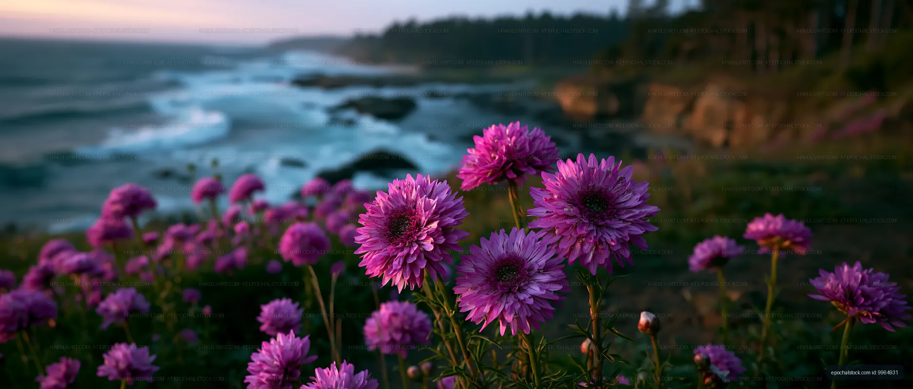 Coastal view with purple flowers at sunset by the ocean