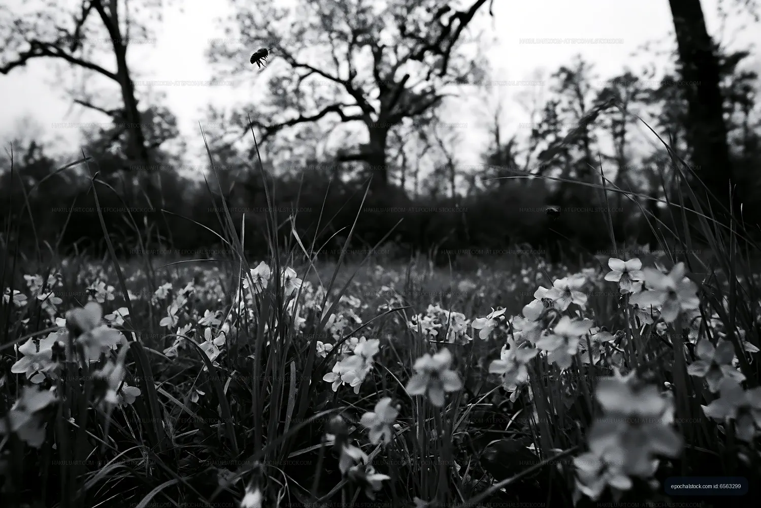 Flowers and trees in a forest during an overcast day