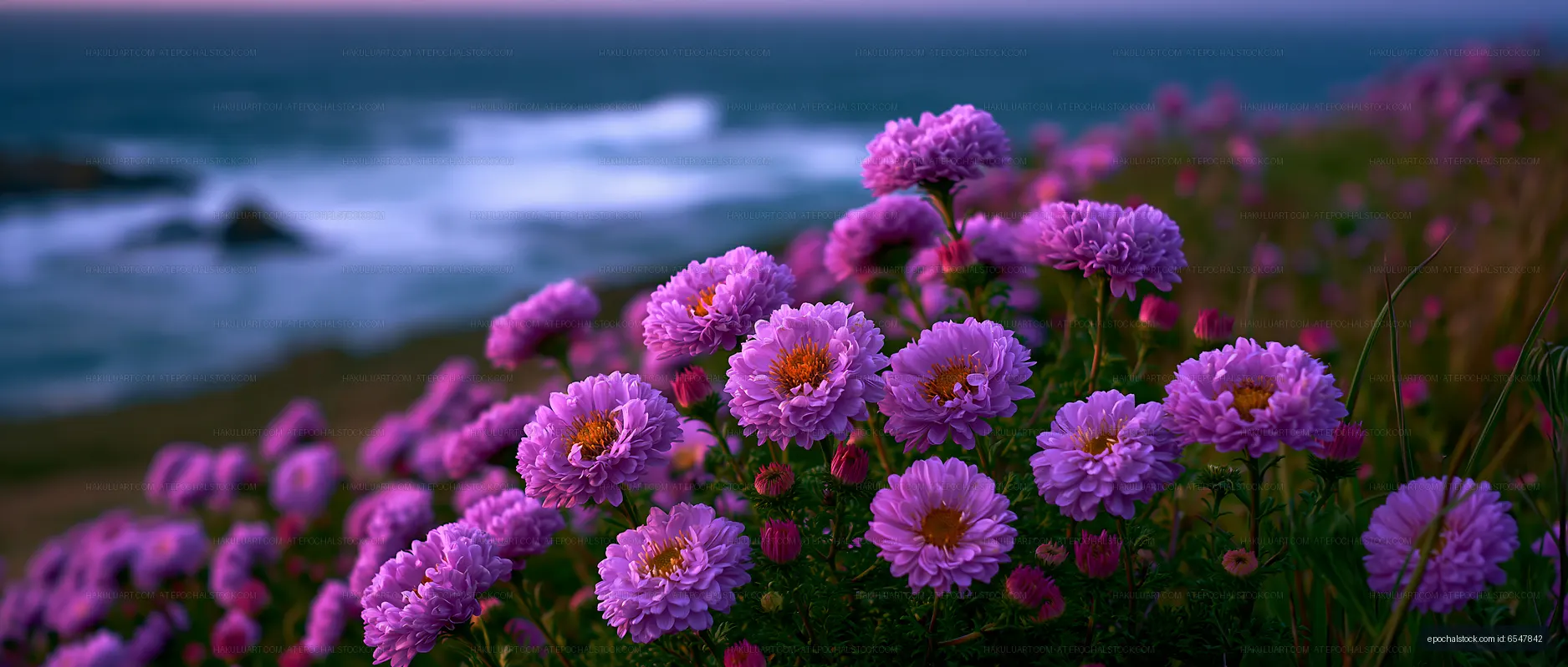 Purple flowers by the ocean at sunset
