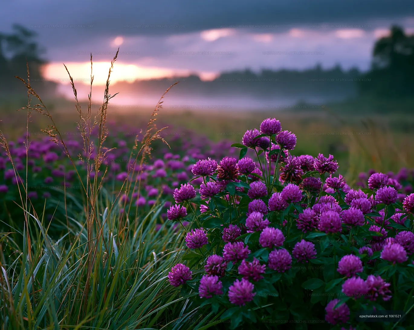 Colorful flowers bloom in a field during sunrise