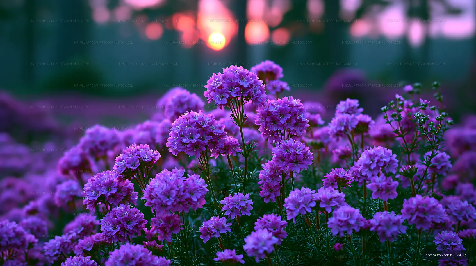 Purple flowers bloom at sunset with trees in the background