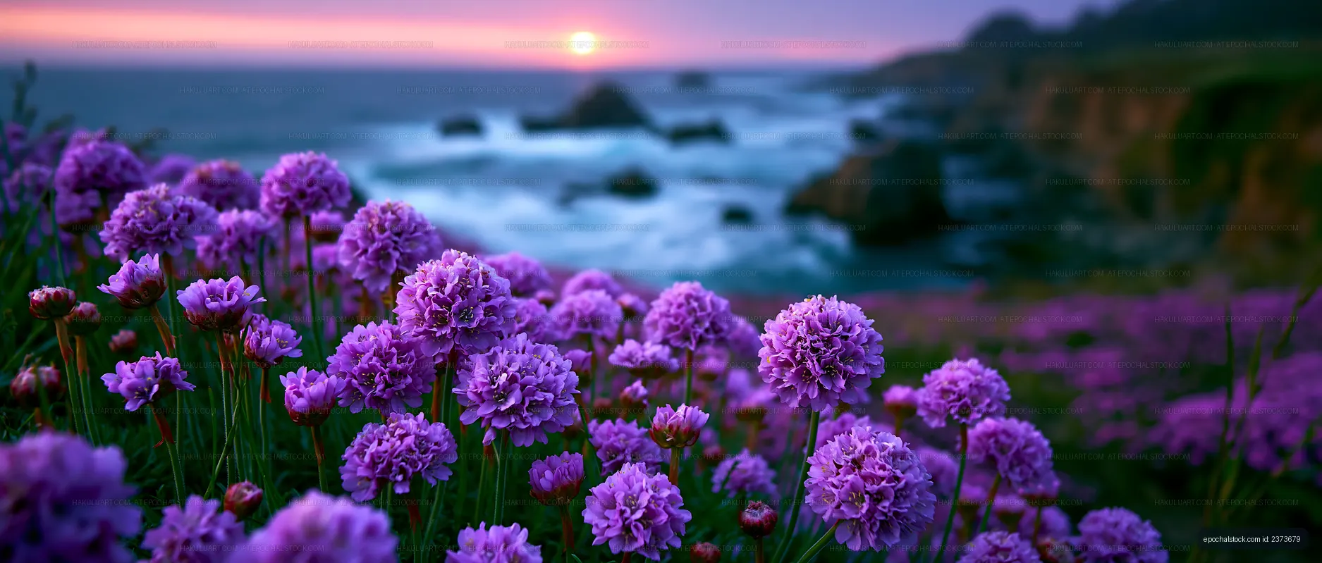 Sunset over flowers by the ocean with purple blooms
