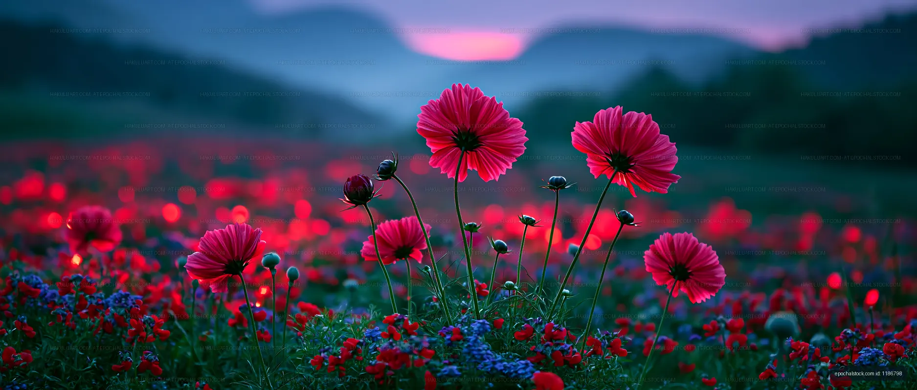 Colorful flowers bloom in a field during sunset