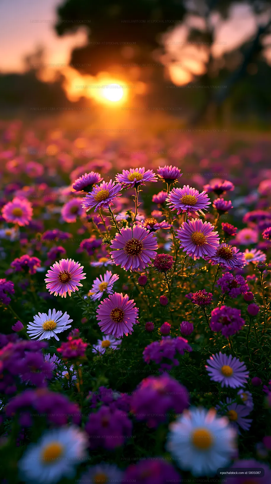 Sunset over a field of colorful wildflowers