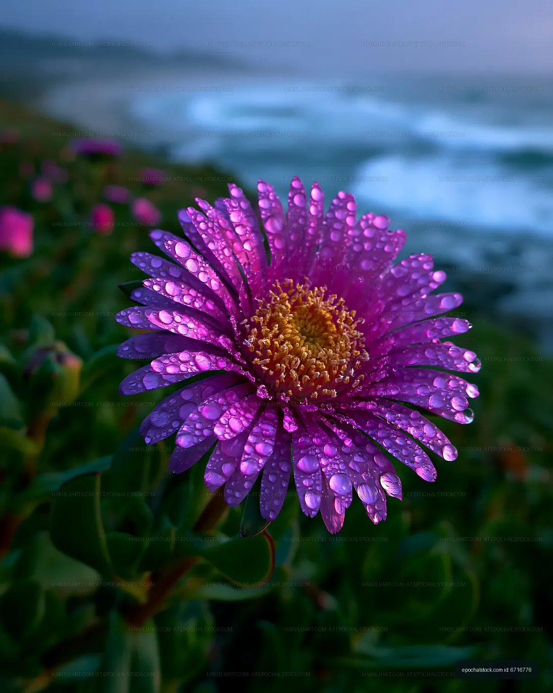Purple flower with water droplets near the ocean