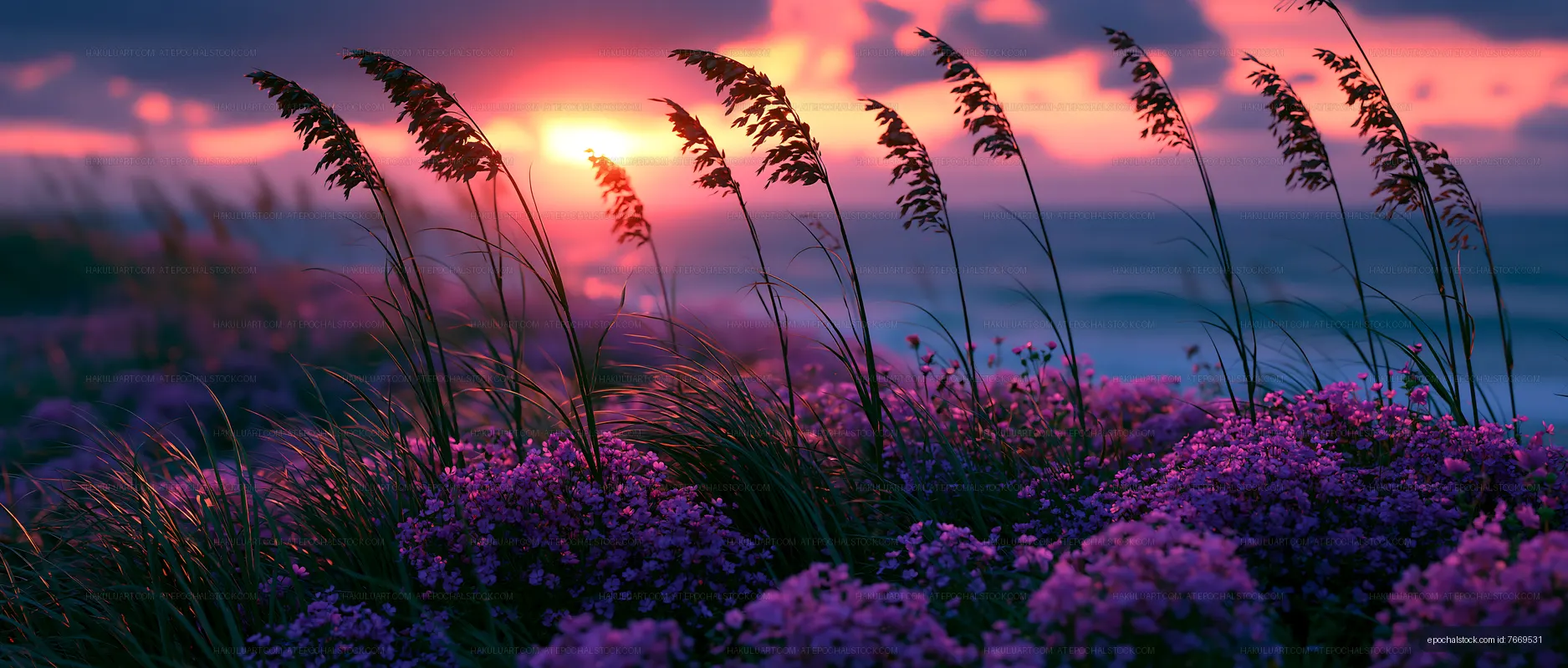 Sunset over flowers and grass by the ocean