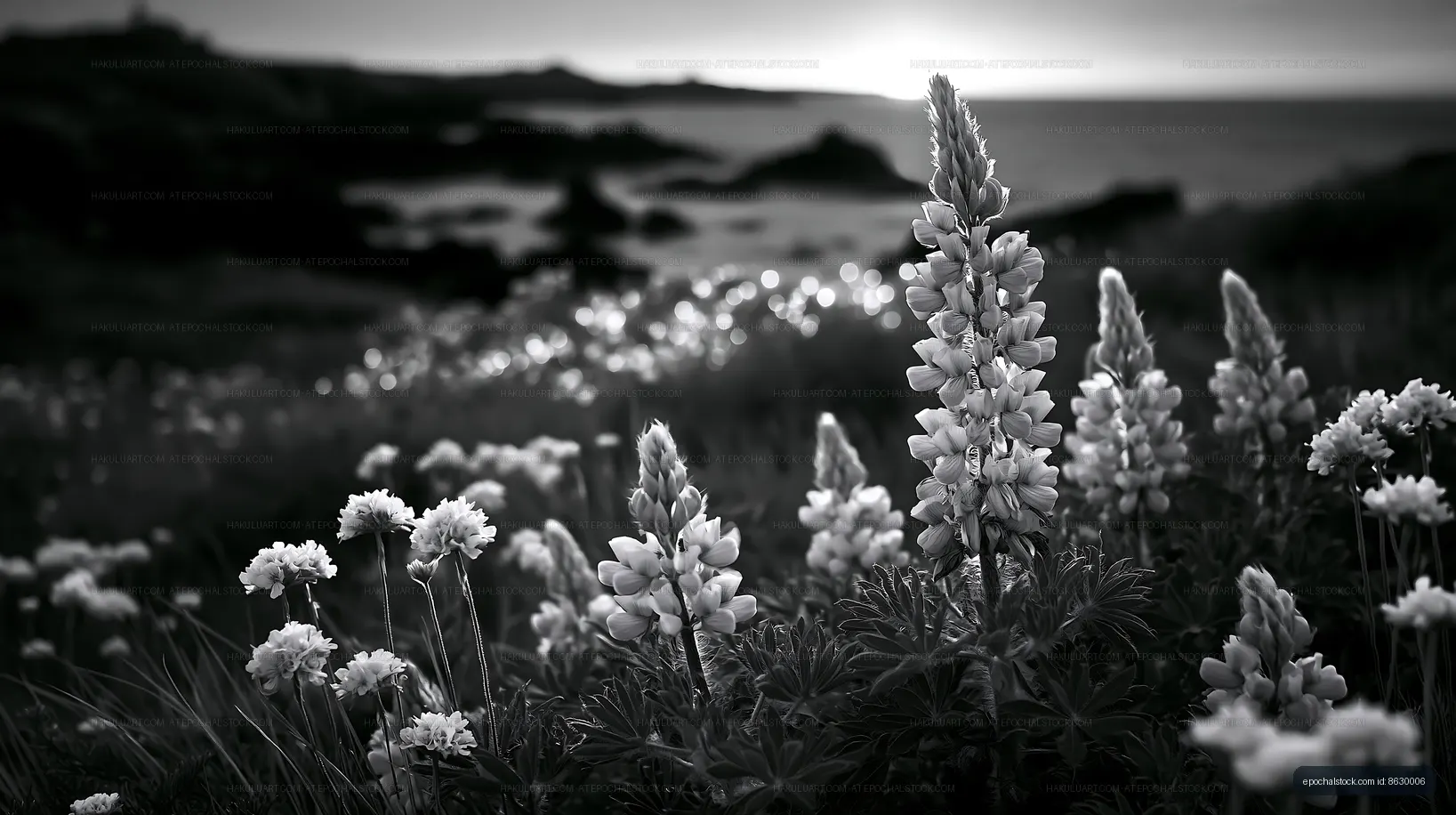Flowers bloom at sunset near the coast