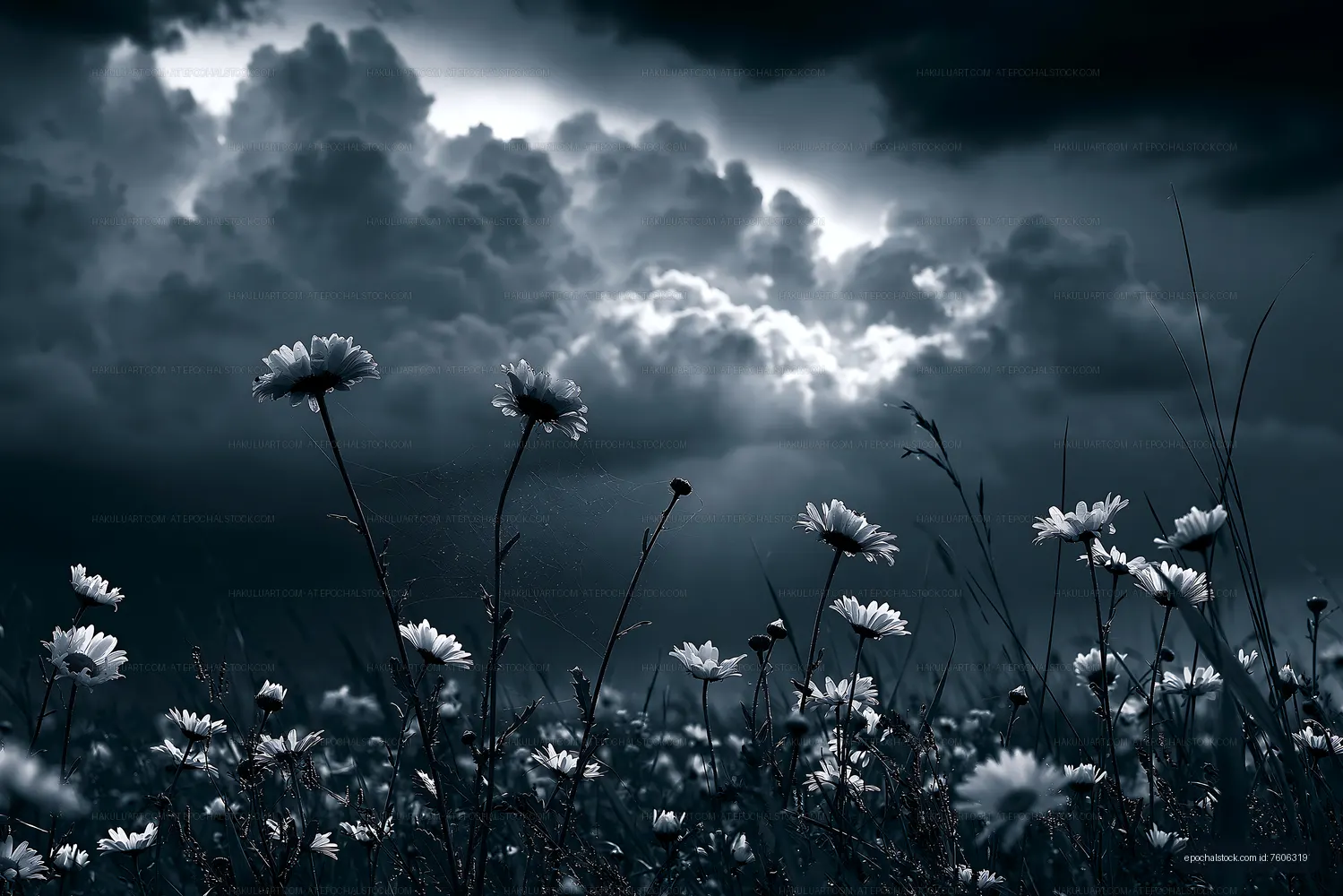 Flowers in a dark field under stormy clouds