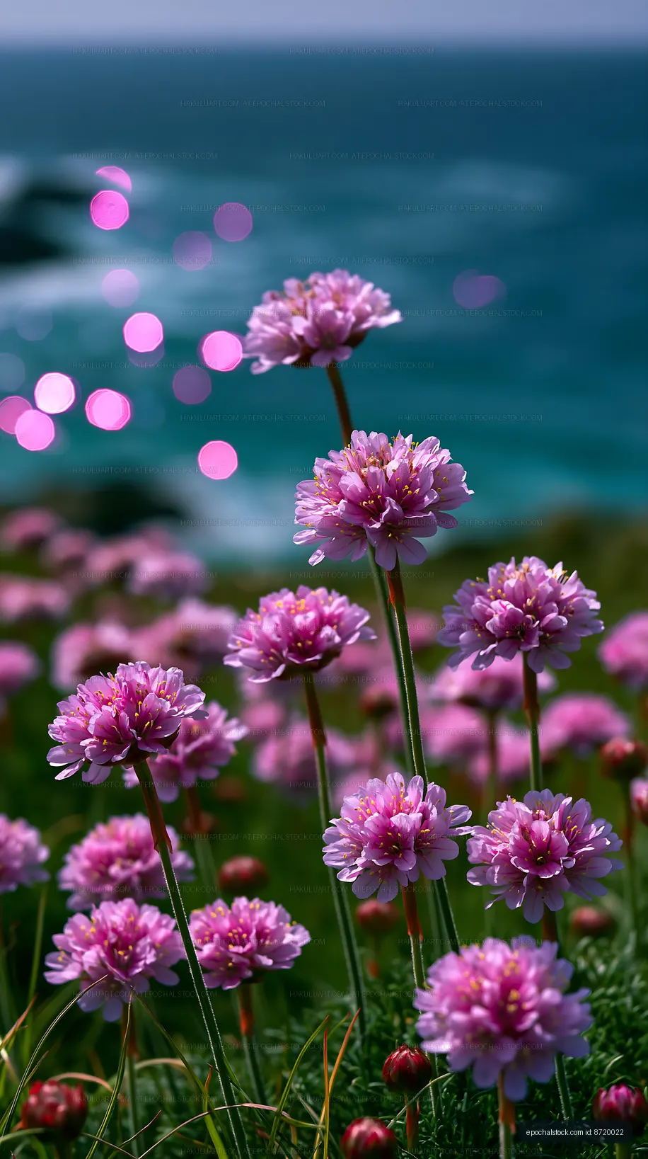 Flowers bloom near the ocean as sunlight reflects on the water
