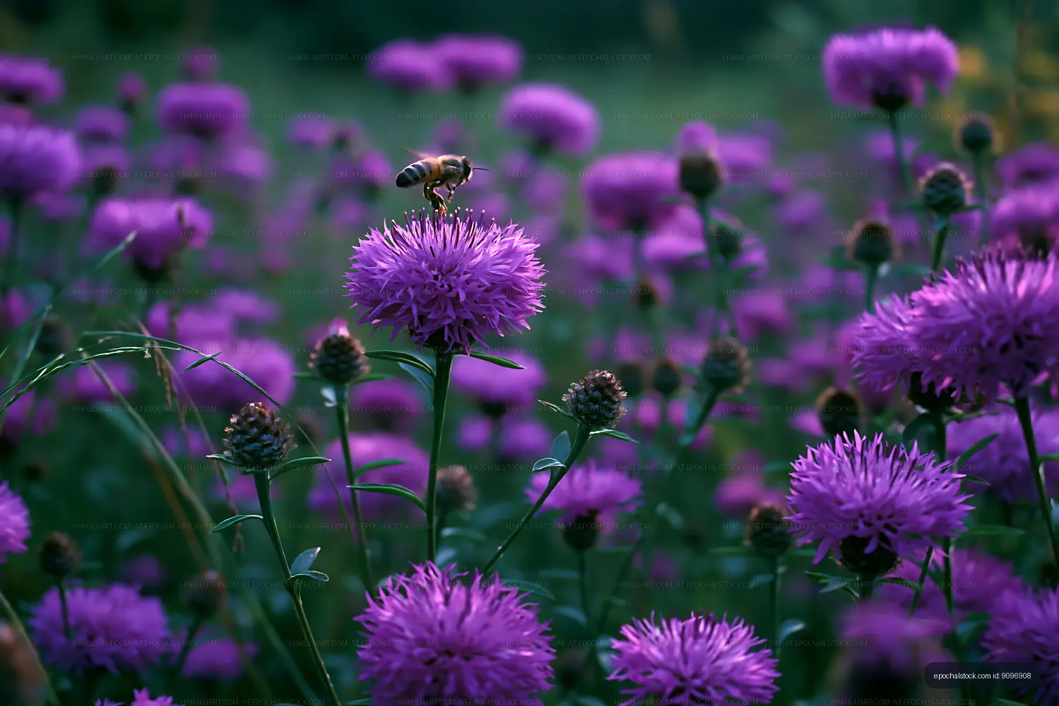 Bee on purple flower in a field of blooming plants
