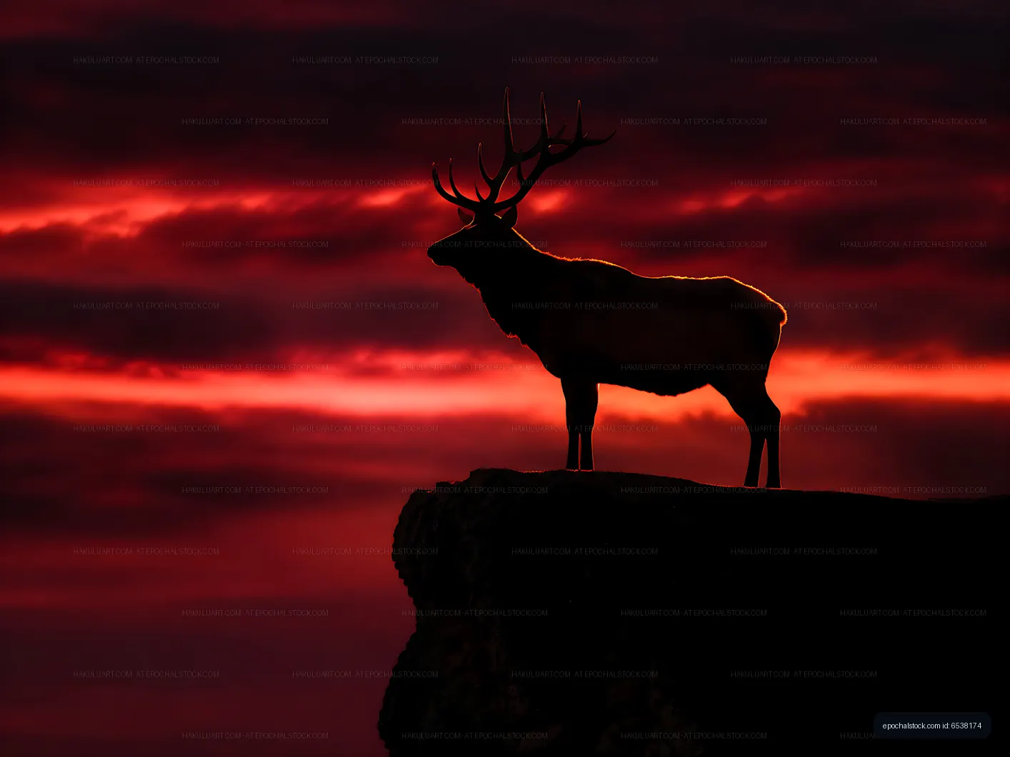 Silhouette of a deer on a rock against a colorful sunset sky