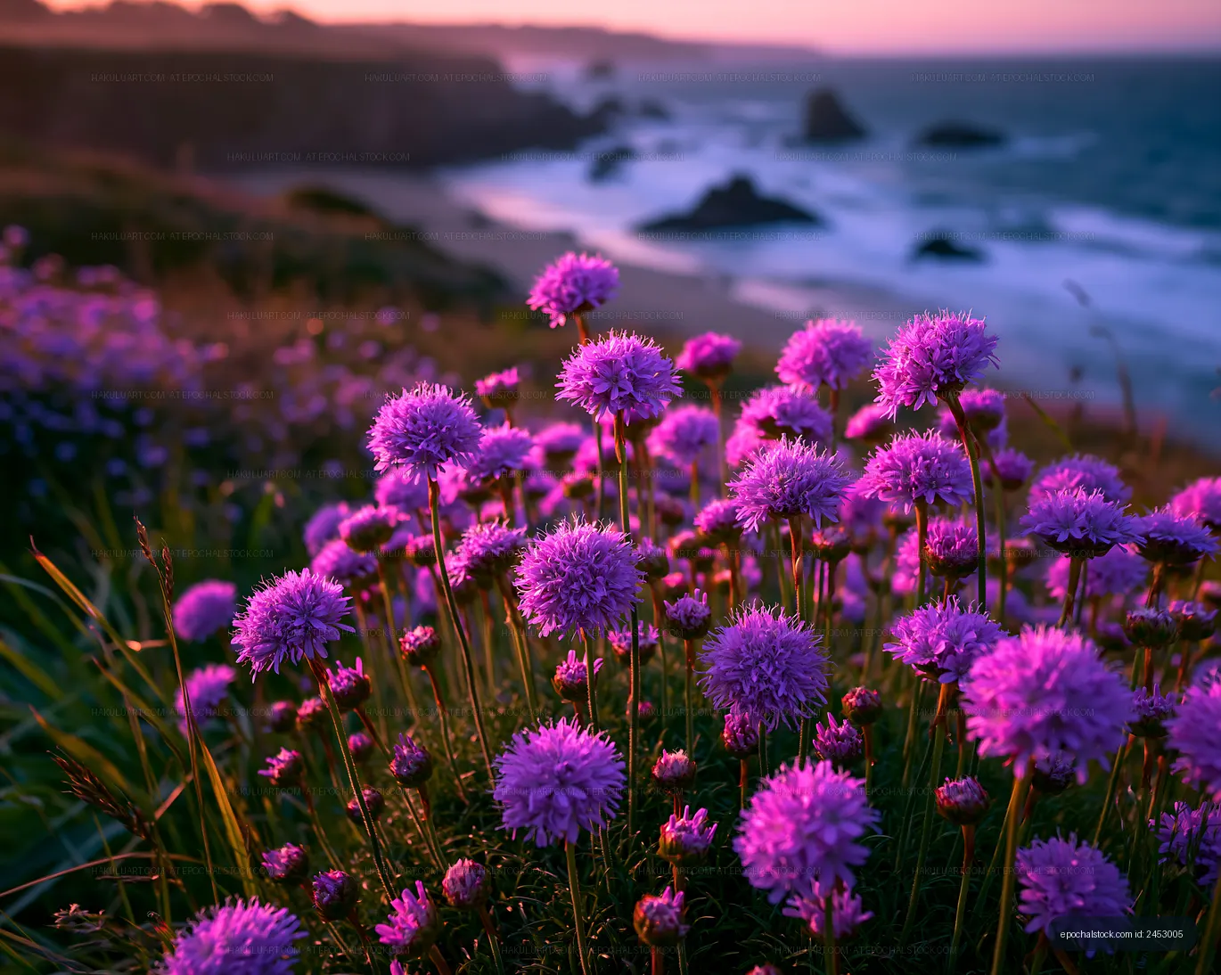 Purple flowers bloom near the coast at sunset