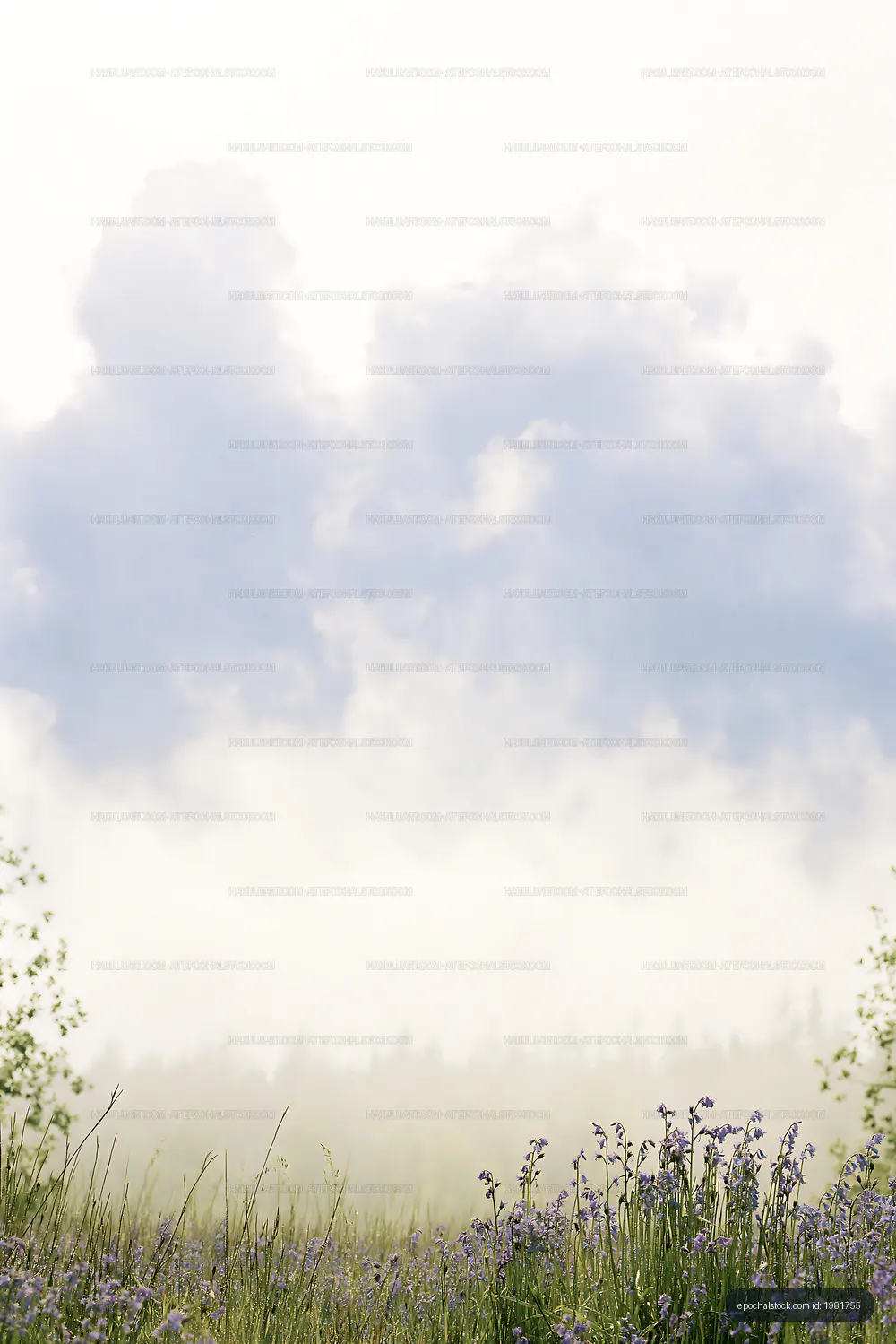 Foggy landscape with flowers and clouds in the early morning