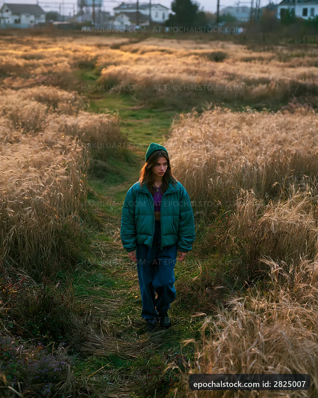 Walking through a field in the early evening light