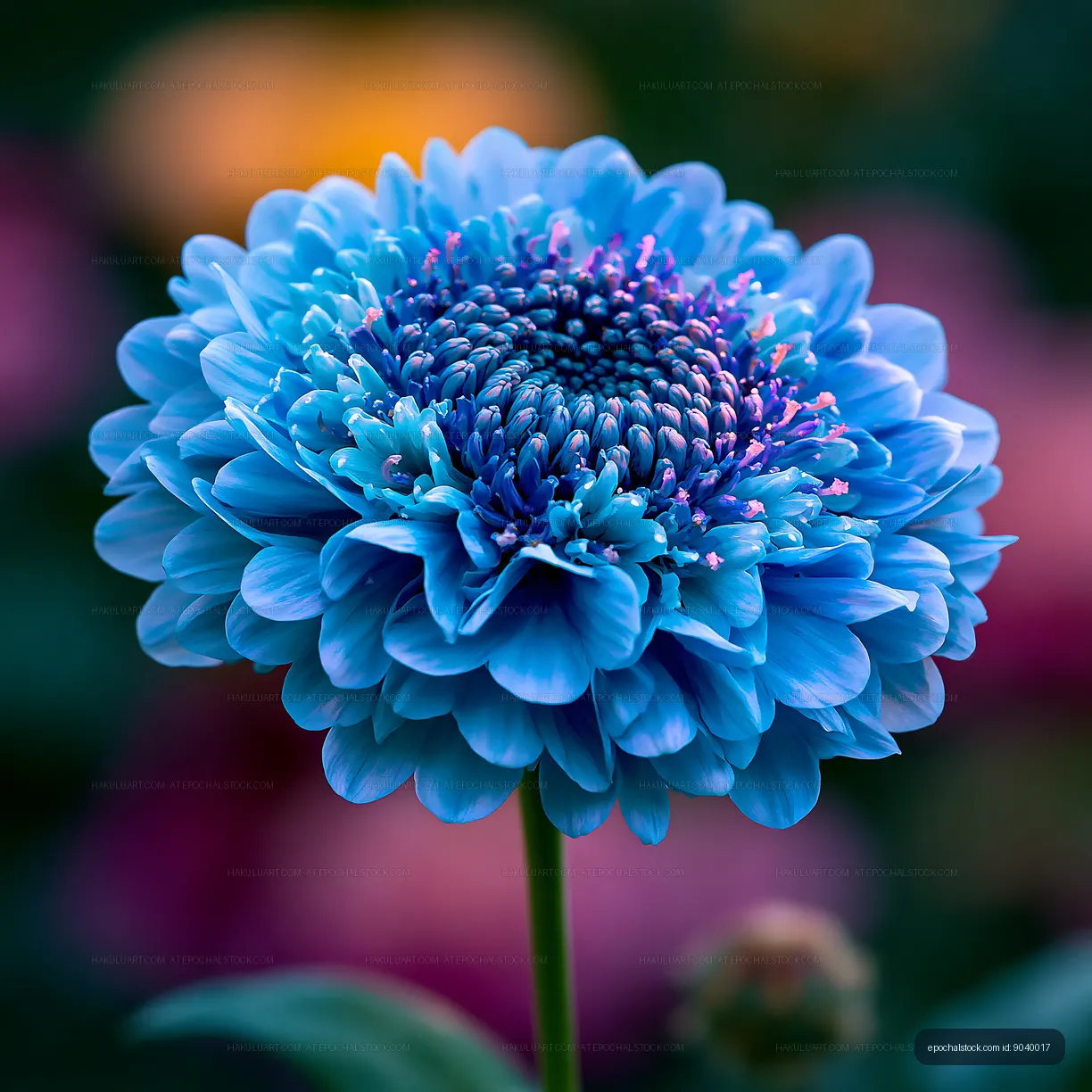 Bright blue flower in a garden with colorful blossoms