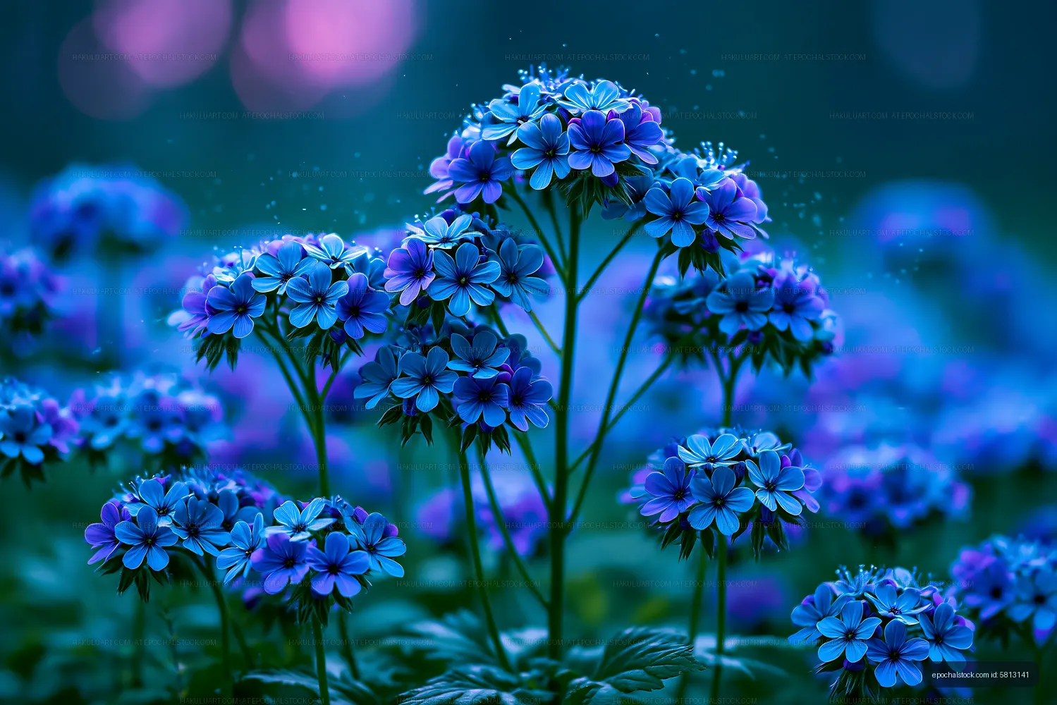 Blue flowers in a garden during evening light