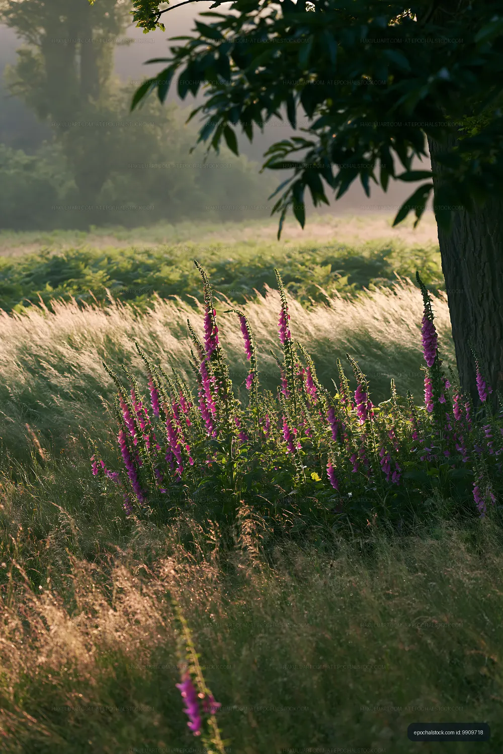Colorful flowers grow in a field during the early morning light