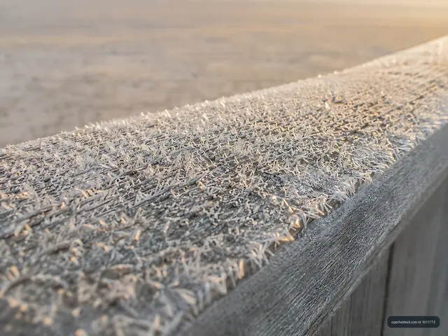 Frost on a wooden surface at sunrise