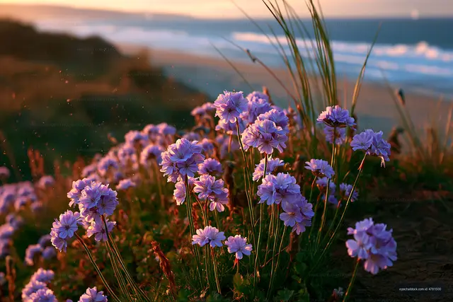 Purple flowers on a coastal cliff with waves in the background