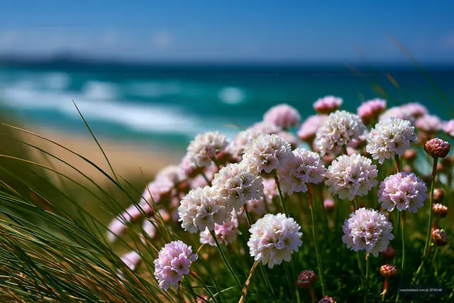 Flowers in focus on a beach near the ocean on a sunny day