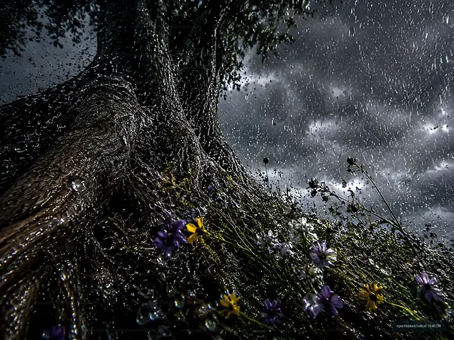 Rain falling on a tree with flowers in the foreground