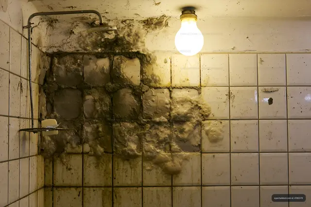 Moldy bathroom wall with exposed light bulb and dirty tiles